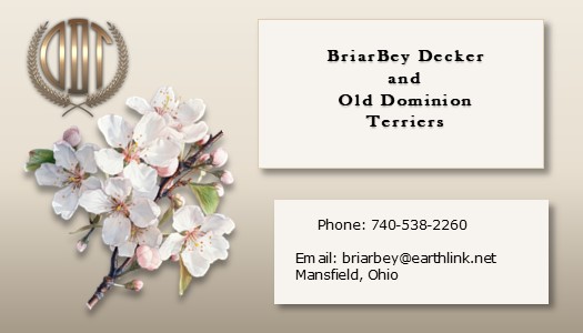 BriarBey Decker Terriers contact information