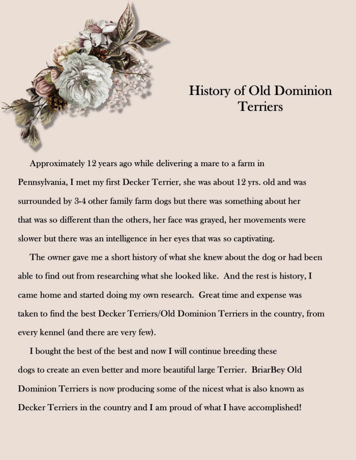 History of The Old Dominion Terrier